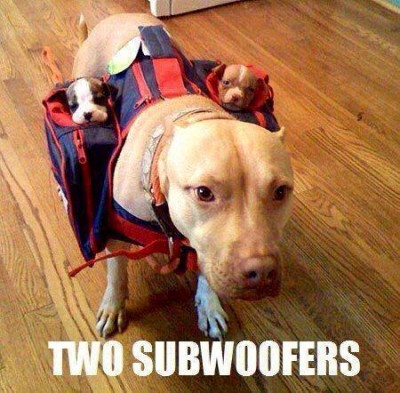 subwoofers.jpg