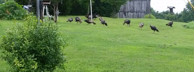 20160714_172013-1.jpg