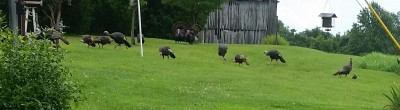 20160714_171840-1.jpg