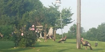 20160719_184238-1.jpg