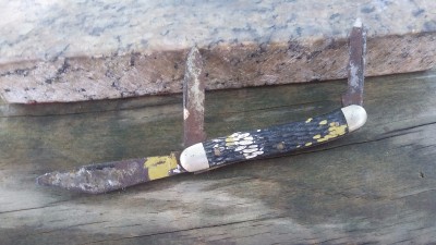 20160725_104704.jpg