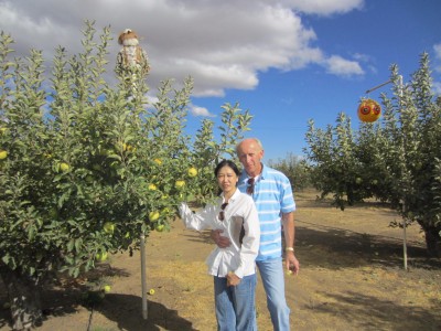 Apple Festival Tehachapi Ca.