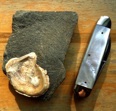 Knife and hand specimen rock with attached shell.