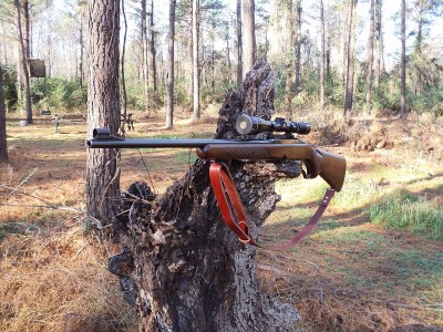 M88 308 WIN Thanksgiving Day 11-24-2011.jpg