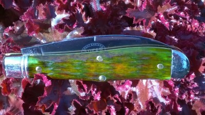 WP_20160808_17_24_23_Pro.jpg