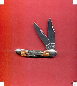 Parker Edwards Stag by Wendell Carson.jpg
