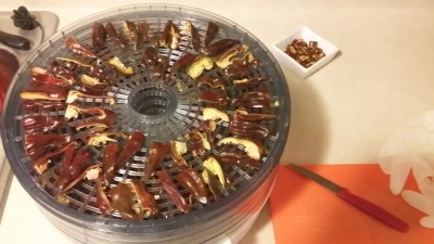 20160820_173005.jpg