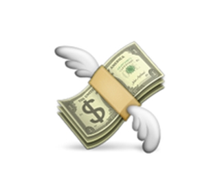 Flying Money.jpg