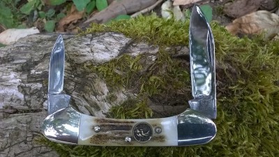 WP_20160827_10_54_54_Pro.jpg