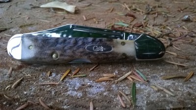 WP_20160901_18_43_16_Pro.jpg