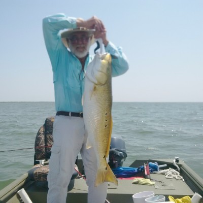 36" Red Drum