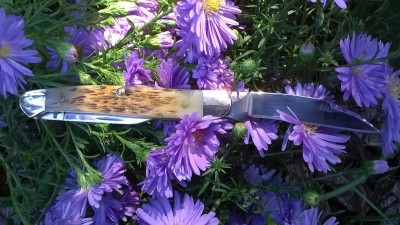 WP_20160914_14_58_57_Pro.jpg