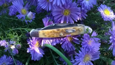 WP_20160914_15_00_18_Pro.jpg
