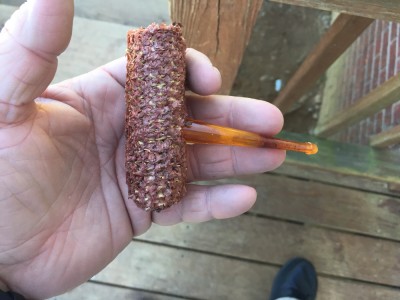 image.jpeg