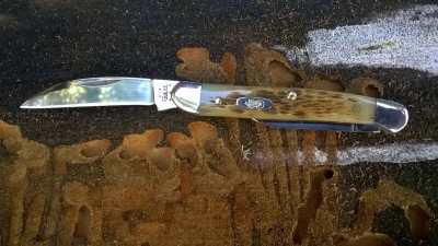 WP_20160920_15_17_06_Pro.jpg