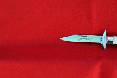 007.JPG