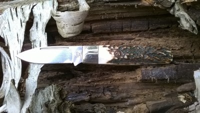 WP_20161001_12_10_45_Pro.jpg