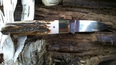 WP_20161001_12_11_19_Pro.jpg
