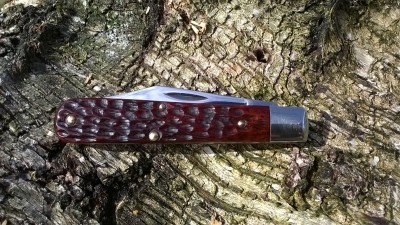 WP_20161005_007.jpg