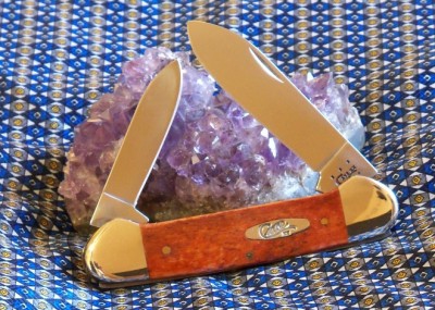 Smooth Chestnut Bone 2013.JPG
