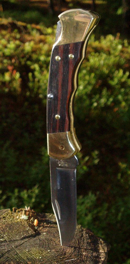 Buck stubbe.JPG