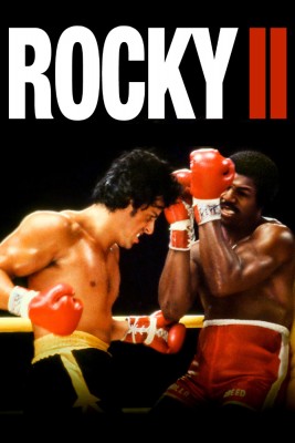 rocky2_1431021293.jpg