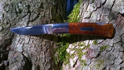 WP_20161010_004.jpg