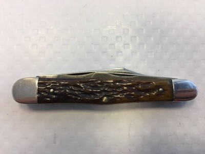 Possible bone Cammilus 2.jpg