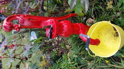 20161017_144811.jpg