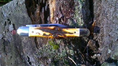 WP_20161017_014.jpg