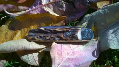 WP_20161022_020.jpg