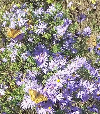 20161022_111451-2.jpg