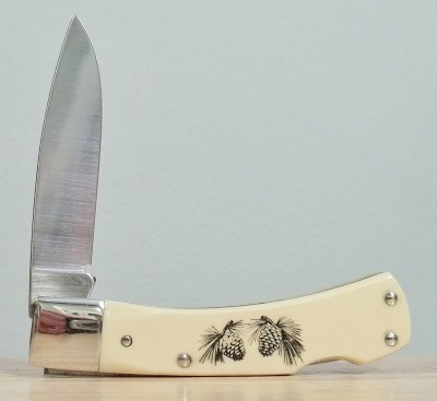 SC515 Bald Eagle+Pine Cones (2).JPG
