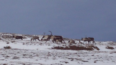 100_2322.JPG