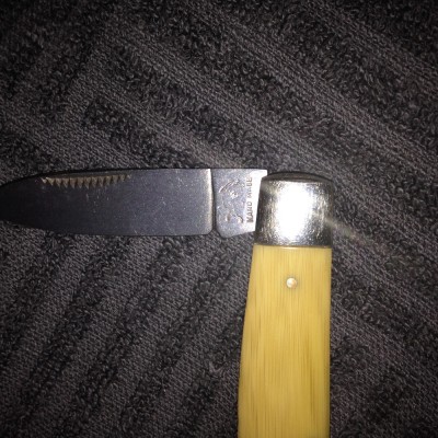 image.jpeg