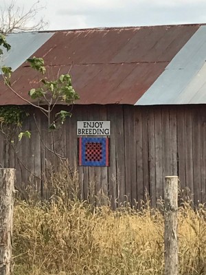 Sign 2.jpg