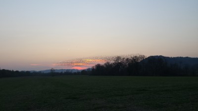 20161107_171911.jpg