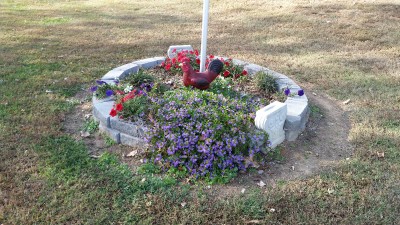 20161107_141612.jpg