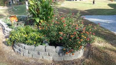 20161107_141604.jpg