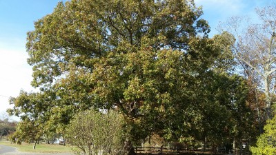 20161107_141741.jpg