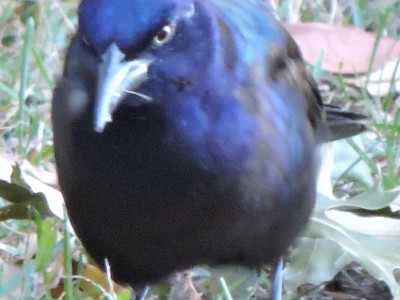 DSCN3110.JPG
