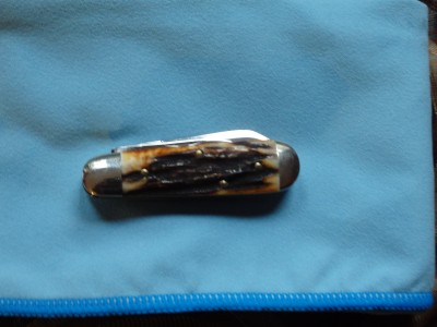 PB230059.JPG