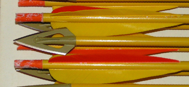 PICT0006.JPG