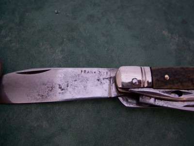 Frank Stag utility (3).JPG