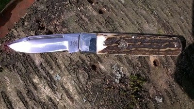 WP_20161005_011.jpg