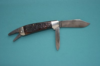 gator2.jpg