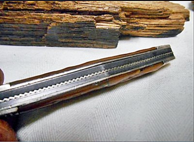 backspring - liner.jpg