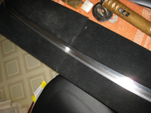 Picture 312.jpg