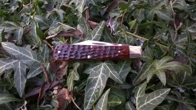 WP_20161208_009.jpg