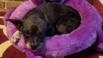 IMG_20161205_203631_edit.jpg